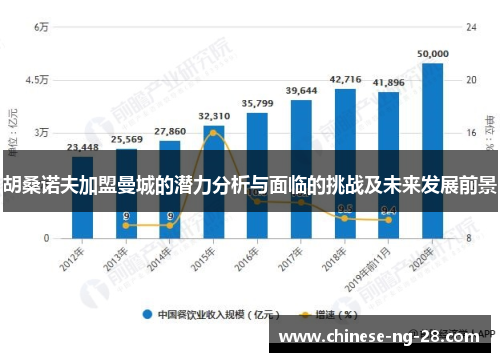 胡桑诺夫加盟曼城的潜力分析与面临的挑战及未来发展前景 胡桑诺夫加盟曼城的潜力分析与面临的挑战及未来发展前景