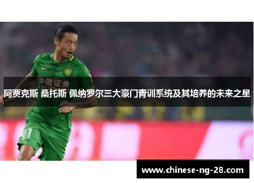 阿贾克斯 桑托斯 佩纳罗尔三大豪门青训系统及其培养的未来之星 阿贾克斯 桑托斯 佩纳罗尔三大豪门青训系统及其培养的未来之星